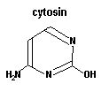 cytosin