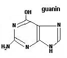guanin